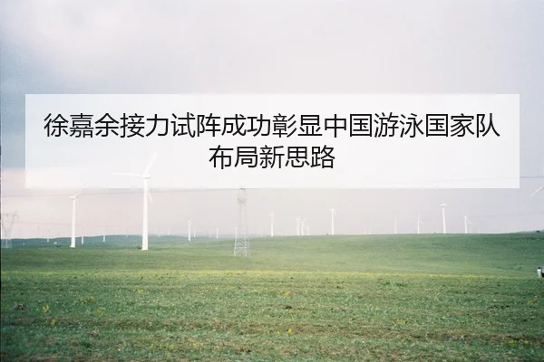 徐嘉余接力试阵成功彰显中国游泳国家队布局新思路