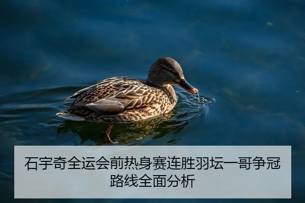 石宇奇全运会前热身赛连胜羽坛一哥争冠路线全面分析