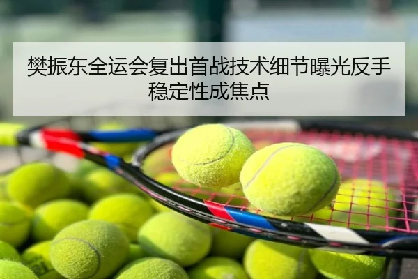 樊振东全运会复出首战技术细节曝光反手稳定性成焦点